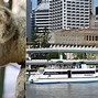 Image result for Brisbane Zoo Australia