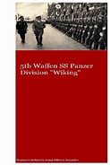 Image result for Waffen SS Panzer