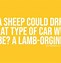 Image result for Sheep Jokes