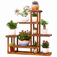 Image result for Lowe's Plants Outdoor