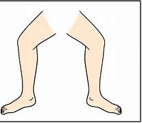 Image result for Cartoon Body Parts Legs