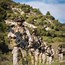 Image result for Latvian Armed Forces Line and Block