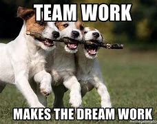 Image result for Teamwork Dog Meme