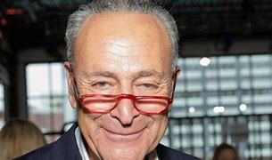 Image result for New York Representative Charles Schumer