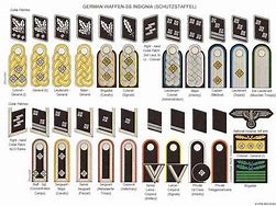 Image result for SS Officer Rank Insignia
