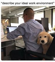 Image result for Office Work Funny Memes Dog