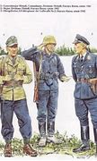 Image result for Luftwaffe Field Division Uniform