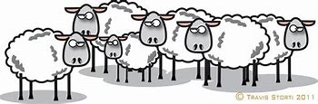Image result for sheep station cartoon