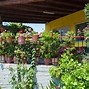Image result for Outdoor Patio Planter Ideas