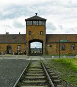 Image result for Liberation of Concentration Camps