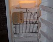 Image result for Freestanding Upright Freezer