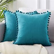 Image result for Velvet Pillow Covers