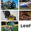 Image result for Leaf Vacuum and Shredder