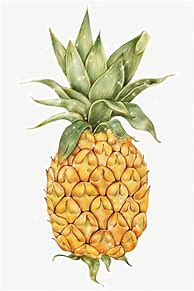 Image result for Pineapple Art Prints