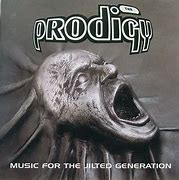 Image result for The Prodigy Experience Album Cover