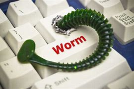 Image result for Worm On Computer