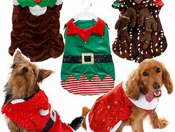 Image result for Dog Christmas Costume