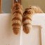 Image result for Cat Tail Meme