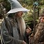 Image result for Wizard with Long Beard