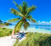 Image result for Best Florida Keys Beaches