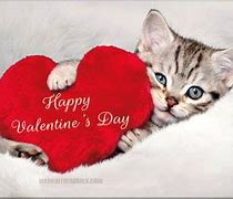 Image result for Valentine's Day Quotes with Cats