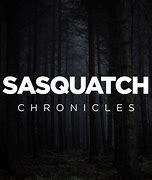 Image result for Sasquatch Chronicles