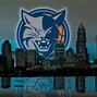 Image result for Charlotte Bobcats Word Mark