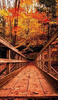 Image result for Fall Wallpaper for Kindle