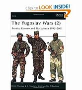 Image result for Yugoslav Wars Book