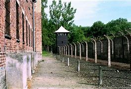 Image result for Auschwitz Barracks
