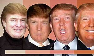 Image result for Orange Make Up Trump