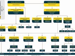 Image result for Adidas Organizational Chart
