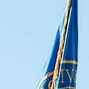 Image result for Roger Williams University Flag