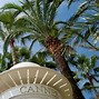 Image result for Cannes France Tourist Attractions