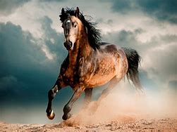 Image result for Free Horse Wallpapers for Kindle
