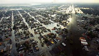 Image result for Hurricane Katrina Hitting New Orleans Palm Tree