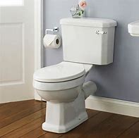 Image result for Toilets UK