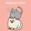 Image result for Cat Pun Greetings