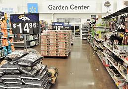 Image result for Walmart Plants Garden Center Clearance