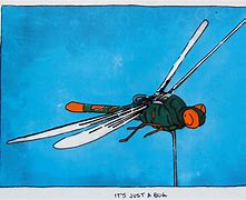 Image result for Insectothopter