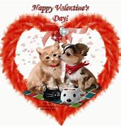 Image result for Valentine's Day Puppy and Kitty