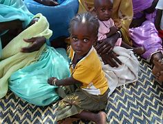 Image result for Darfur Sudan Zalingy