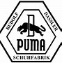 Image result for Puma Hoodie Graphic