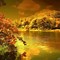 Image result for Beautiful Fall Colors Wallpaper
