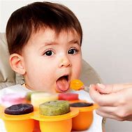 Image result for Baby Food Freezer Container