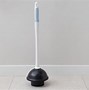 Image result for How to Unclog a Toilet with a Plunger