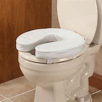Image result for Toilet Seat