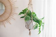Image result for How to Make Plant Hangers