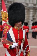 Image result for British Palace Guards