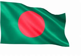 Image result for Alternate Bangladesh Flag